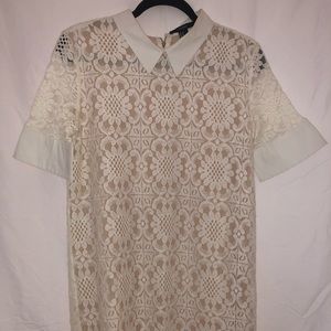 Forever 21 Collard Lace Dress